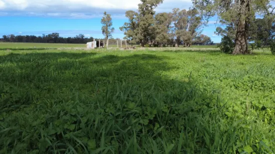 3418 Castlereagh Highway, Breelong, NSW 2827-Image