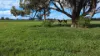 3418 Castlereagh Highway, Breelong, NSW 2827-Image