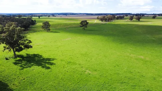 3418 Castlereagh Highway, Breelong, NSW 2827-Image