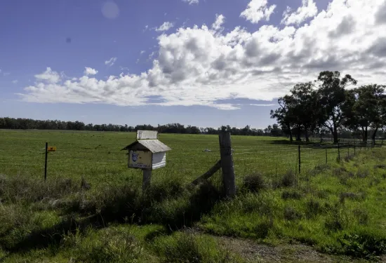 3418 Castlereagh Highway, Breelong, NSW 2827-Image