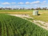 3422 Mount Walker Road, Mount Walker, WA 6369-Image