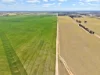 3422 Mount Walker Road, Mount Walker, WA 6369-Image