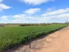 3422 Mount Walker Road, Mount Walker, WA 6369-Image