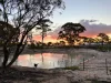 3422 Mount Walker Road, Mount Walker, WA 6369-Image