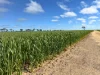 3422 Mount Walker Road, Mount Walker, WA 6369-Image