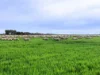 3422 Mount Walker Road, Mount Walker, WA 6369-Image