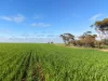 3422 Mount Walker Road, Mount Walker, WA 6369-Image