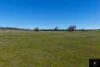 3449 Wyuna Road, Mullaley, NSW 2379-Image