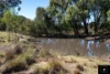 3449 Wyuna Road, Mullaley, NSW 2379-Image