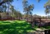 3449 Wyuna Road, Mullaley, NSW 2379-Image