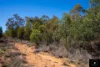 3449 Wyuna Road, Mullaley, NSW 2379-Image