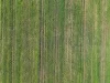 350 Boralma Rutherglen Road, Boralma, Vic 3682-Image