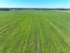 350 Boralma Rutherglen Road, Boralma, Vic 3682-Image