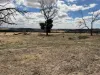351 Cooke Road, East Popanyinning, WA 6309-Image