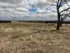 351 Cooke Road, East Popanyinning, WA 6309-Image