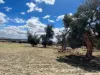 351 Cooke Road, East Popanyinning, WA 6309-Image