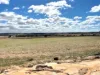 351 Cooke Road, East Popanyinning, WA 6309-Image