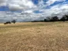 351 Cooke Road, East Popanyinning, WA 6309-Image