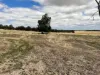 351 Cooke Road, East Popanyinning, WA 6309-Image