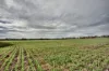354  Redbanks Road, Cambrai, SA 5353-Image