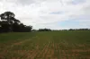354  Redbanks Road, Cambrai, SA 5353-Image