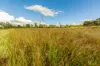 357 Bular Road, Kilkivan, Qld 4600-Image
