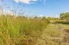357 Bular Road, Kilkivan, Qld 4600-Image