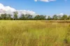 357 Bular Road, Kilkivan, Qld 4600-Image