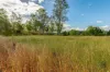 357 Bular Road, Kilkivan, Qld 4600-Image