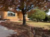 36 Dicksons Road, Pentland Hills VIC 3341-Image