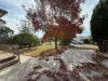 36 Dicksons Road, Pentland Hills VIC 3341-Image