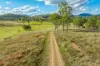 36 Dray Road, Woolooga, Qld 4570-Image