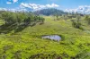 36 Dray Road, Woolooga, Qld 4570-Image