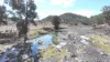360 Black Springs Road, Barraba, NSW 2347-Image