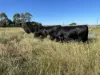360 Stanlake Road, Lang Lang, Vic 3984-Image