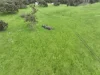 363 Morande Road, Narrikup, WA 6326-Image