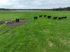 363 Morande Road, Narrikup, WA 6326-Image