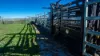 364 Lecoin Road, Inverell, NSW 2360-Image