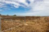 364 Lecoin Road, Inverell, NSW 2360-Image