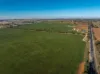 3685 Olympic Highway, Junee, NSW 2663