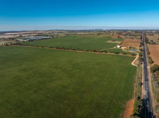 3685 Olympic Highway, Junee, NSW 2663