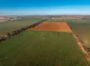 3685 Olympic Highway, Junee, NSW 2663-Image