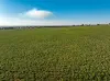 3685 Olympic Highway, Junee, NSW 2663-Image