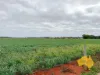 369 BENAIR ROAD, Benair, Qld 4610-Image
