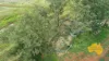 369 BENAIR ROAD, Benair, Qld 4610-Image