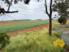369 BENAIR ROAD, Benair, Qld 4610-Image