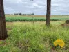 369 BENAIR ROAD, Benair, Qld 4610-Image