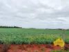 369 BENAIR ROAD, Benair, Qld 4610-Image