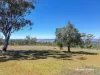 369 Toolimbah Road, Warialda, NSW 2402-Image