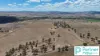 37 Evans Lane, Tamworth, NSW 2340-Image